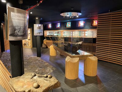 Die Ansicht der Ausstellungsstücke des Talschaftsmusem Defereggen in St. Jakob i. D.. Die Exponate werden mit verschiedenen Designelementen und Lichteinstellungen in dem dunklen Raum zur Geltung gebracht.