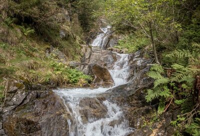 Gewässer am Wanderweg nach Gassen Ein Gewässer am Wanderweg nach Gassen in St. Veit im Defereggen bahnt sich den Weg durch den Wald.