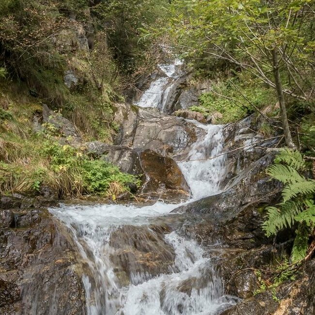 Gewässer am Wanderweg nach Gassen Ein Gewässer am Wanderweg nach Gassen in St. Veit im Defereggen bahnt sich den Weg durch den Wald.
