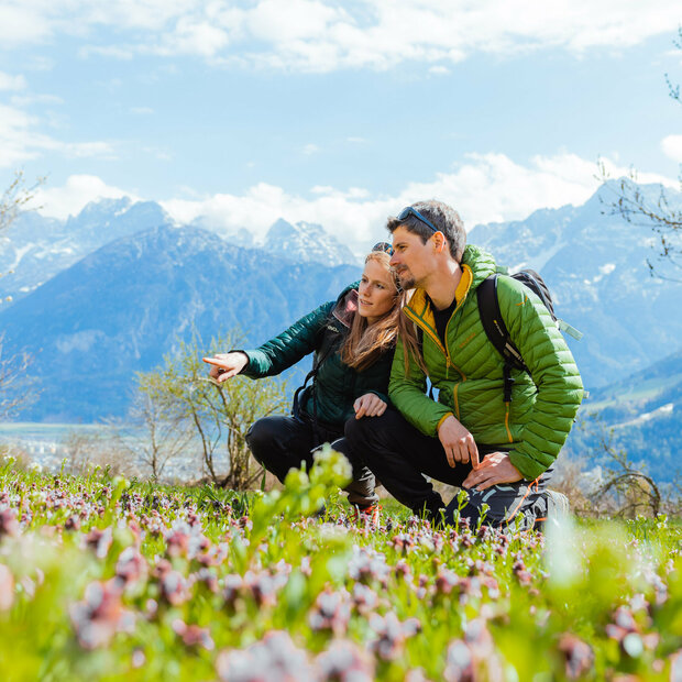 Blumenwiese Wandern Zwei Wanderer bewundern eine Blumenwiese.