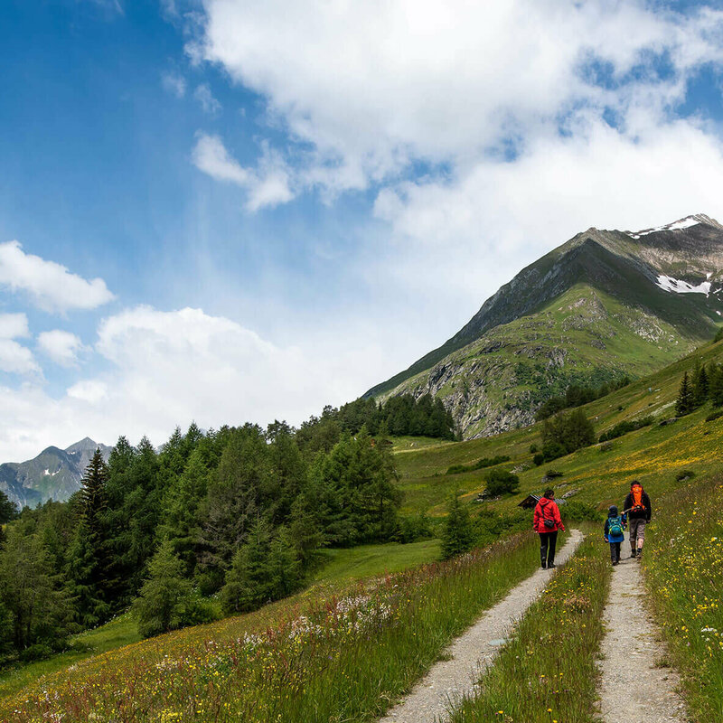 Virgentaler Sonnenseite Virgentaler Sonnenseite