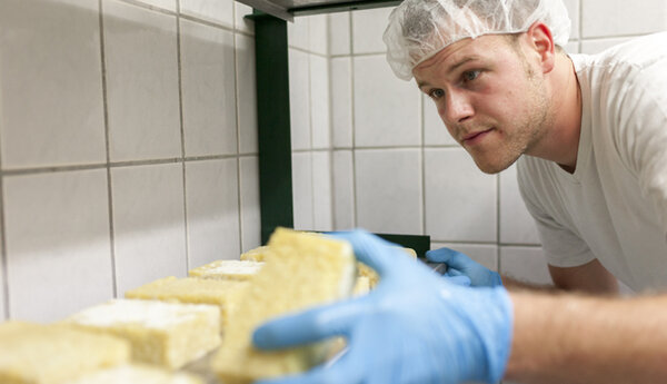 Graukäse beim Fröserhof Ein Mann mit Haube und blauen Handschuhen in Nahaufnahme beim Herstellen von Graukäse beim Fröserhof.