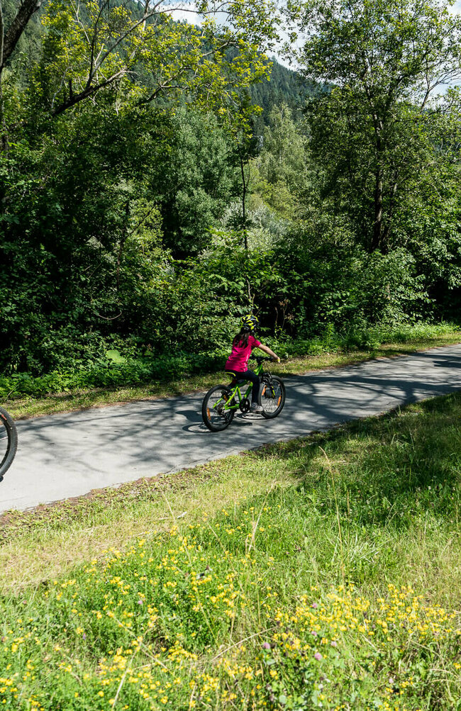 Radfahren Eine dreiköpfige Familie am Radfahren auf dem Iselradweg. Der asphaltierte Weg ist umgeben von saftig grünen Bäumen und einem Grünstreifen mit vielen, gelben Blumen.