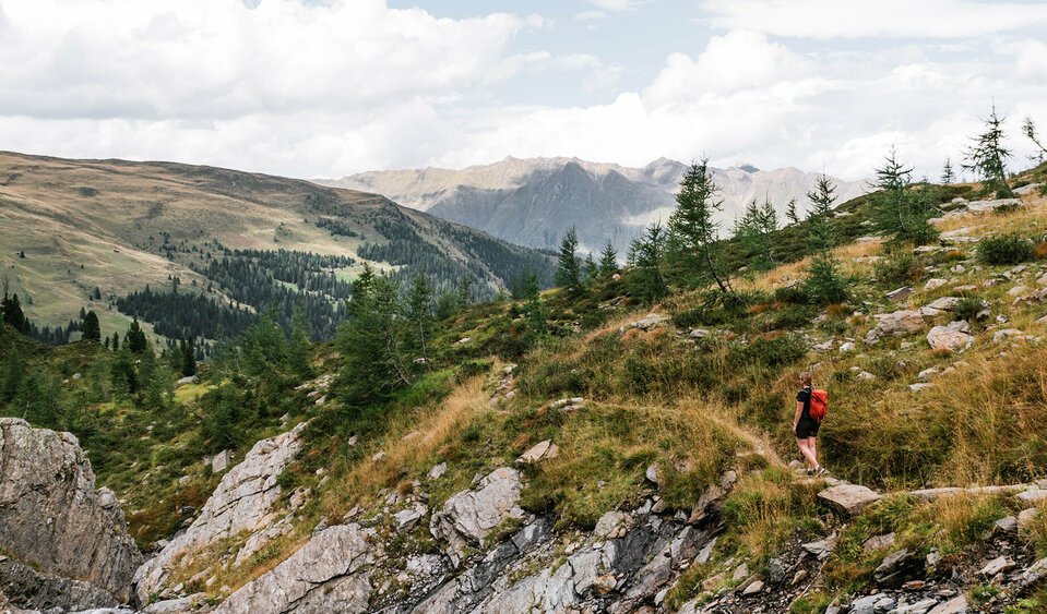 Zwenewaldtal Zwenewaldtal