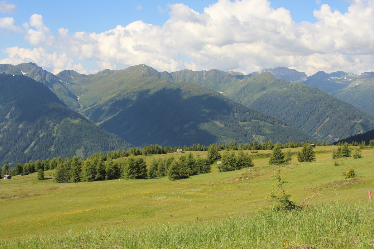 Wandern » Kircher Alm 🥾 