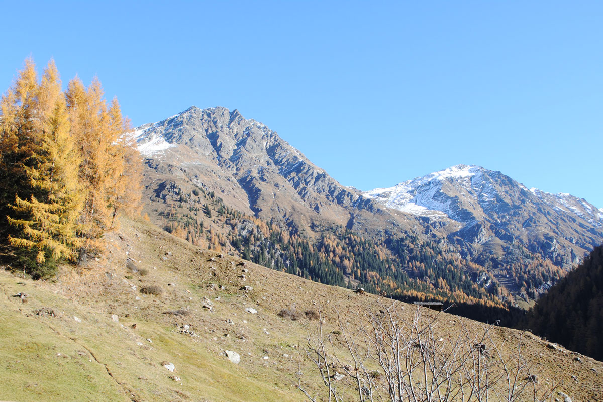 Wandern » Rote Spitze 2,956 m 🥾 | Osttirol Tourismus