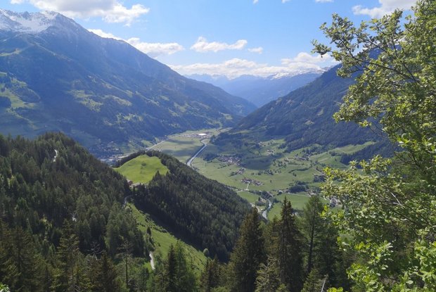 Hiking » Hiking tour to Wodenalm 1.825m | Osttirol Tourismus