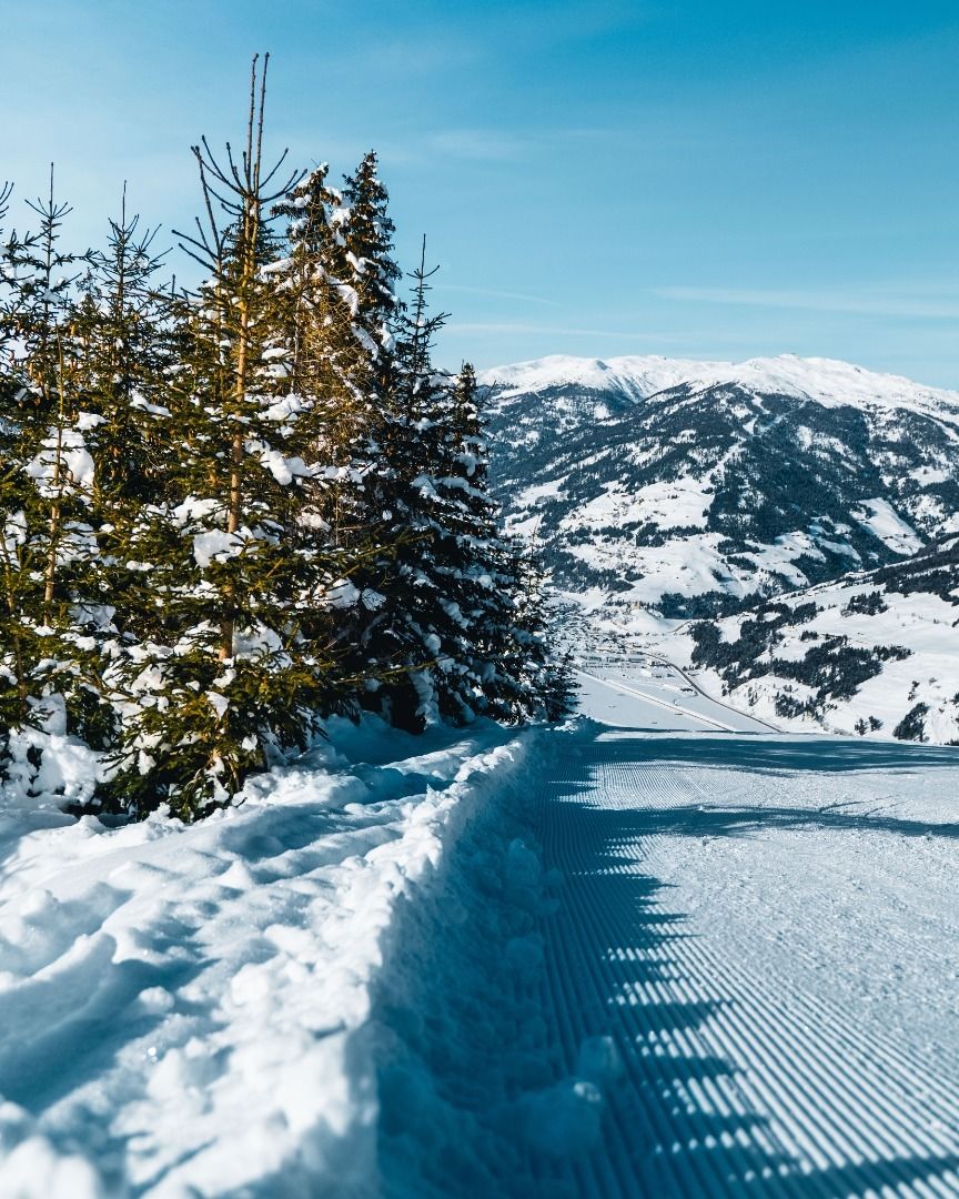 Skitour » Skitour von St. Oswald auf den Dorfberg ️ | Osttirol Tourismus