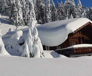 Almhütte Kristemoarhütte