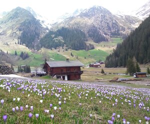 Almhütte Gutwenger