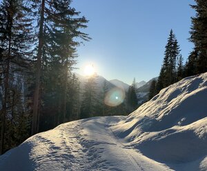 Haus ALPENFRIEDEN